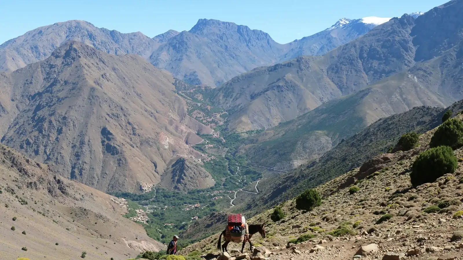 A mountain trail and pack animal in the High Atlas near Imlil