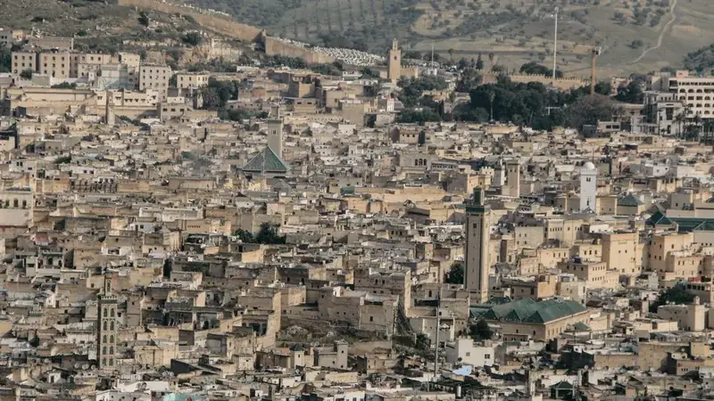 Rooftops and minarets across the medina of Fes