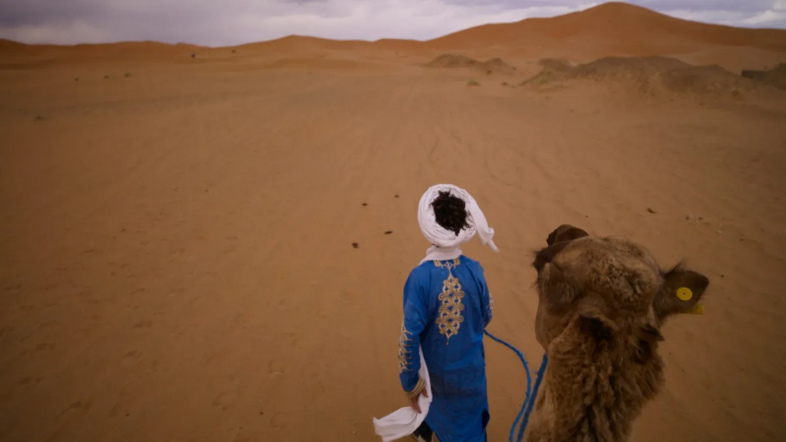 A person walking beside a camel in the desert near Merzouga