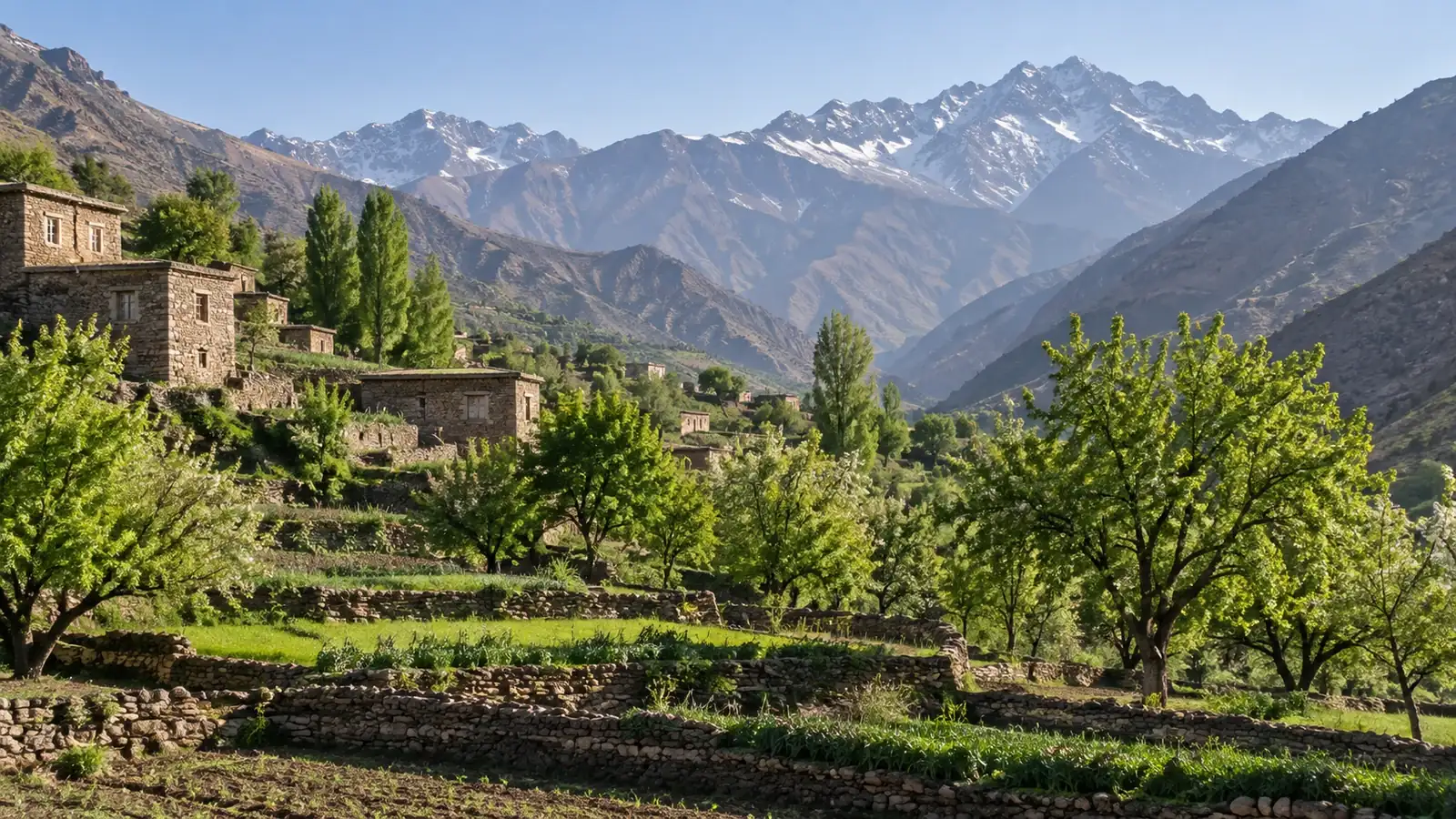 Green terraced fields beneath rugged mountain slopes